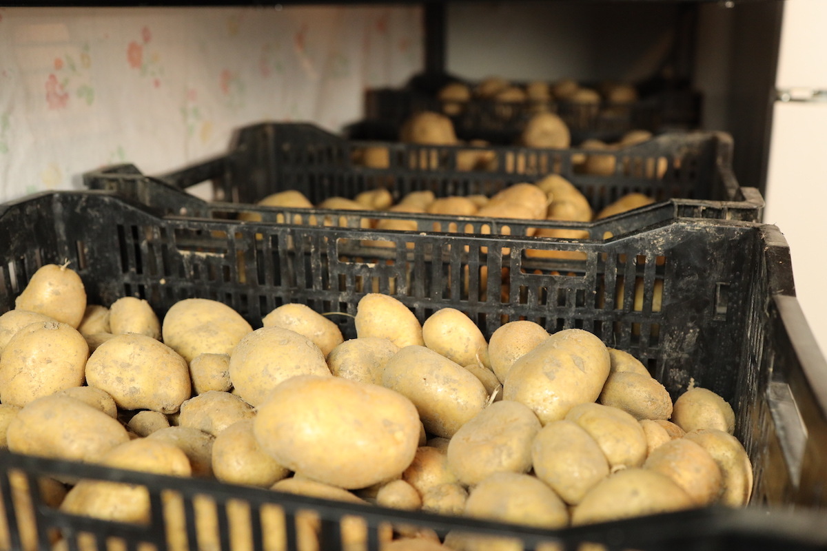 How To Store Russet Potatoes Long Term