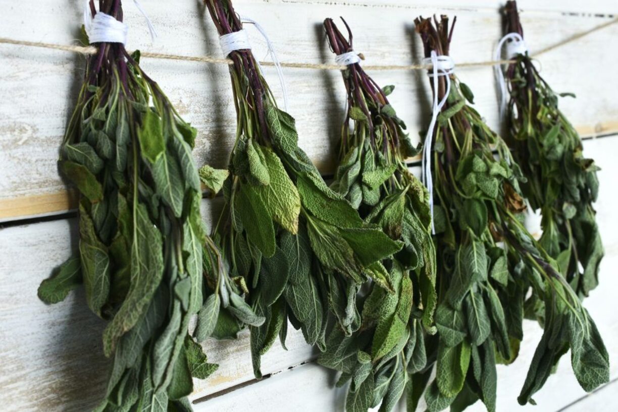 How To Store Sage Bundles