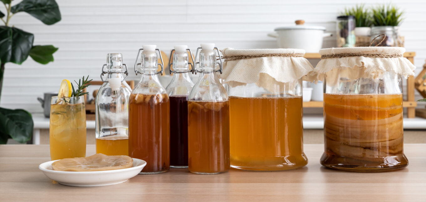 How To Store Scoby After First Fermentation