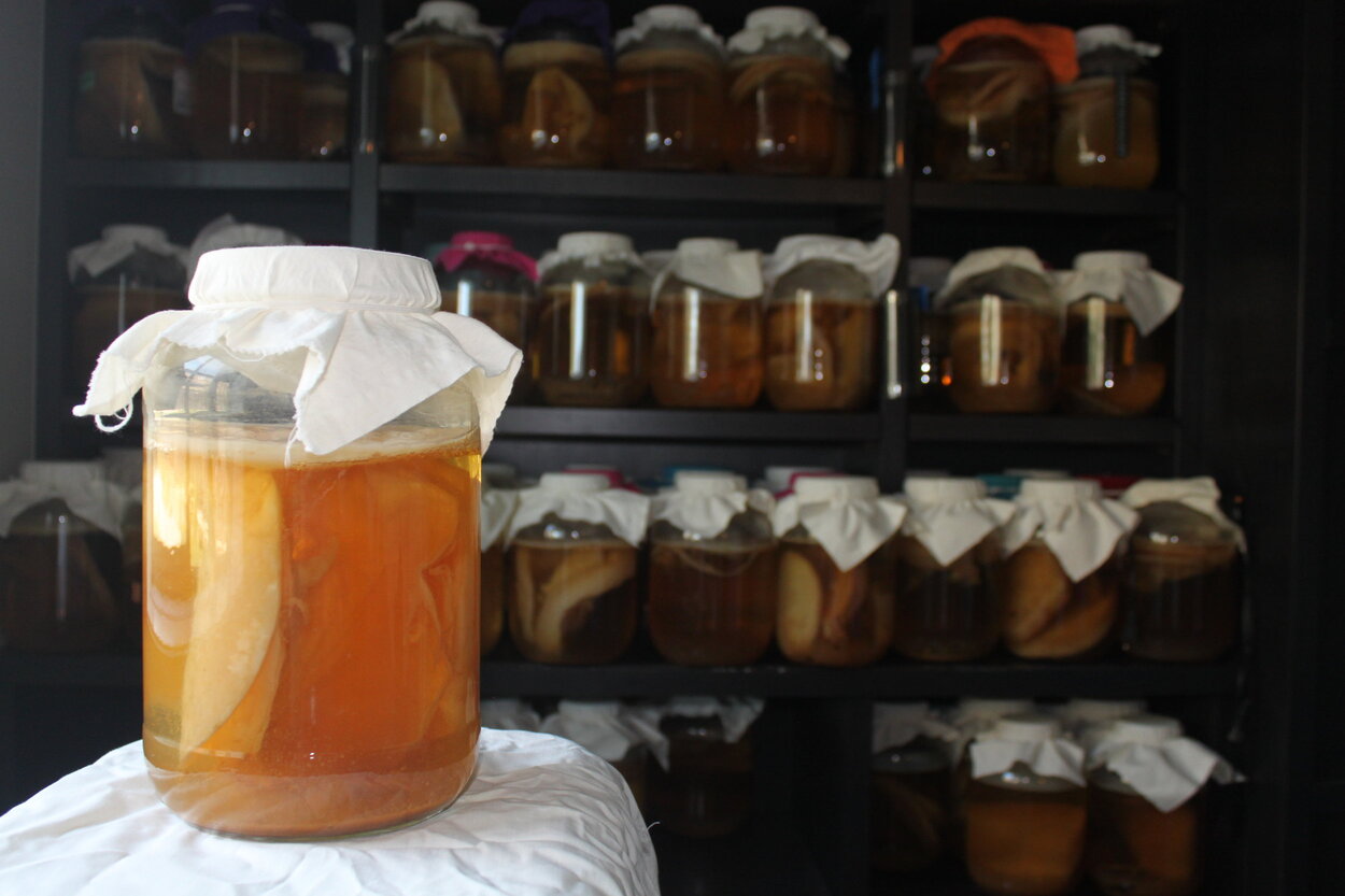 How To Store Scoby Long Term