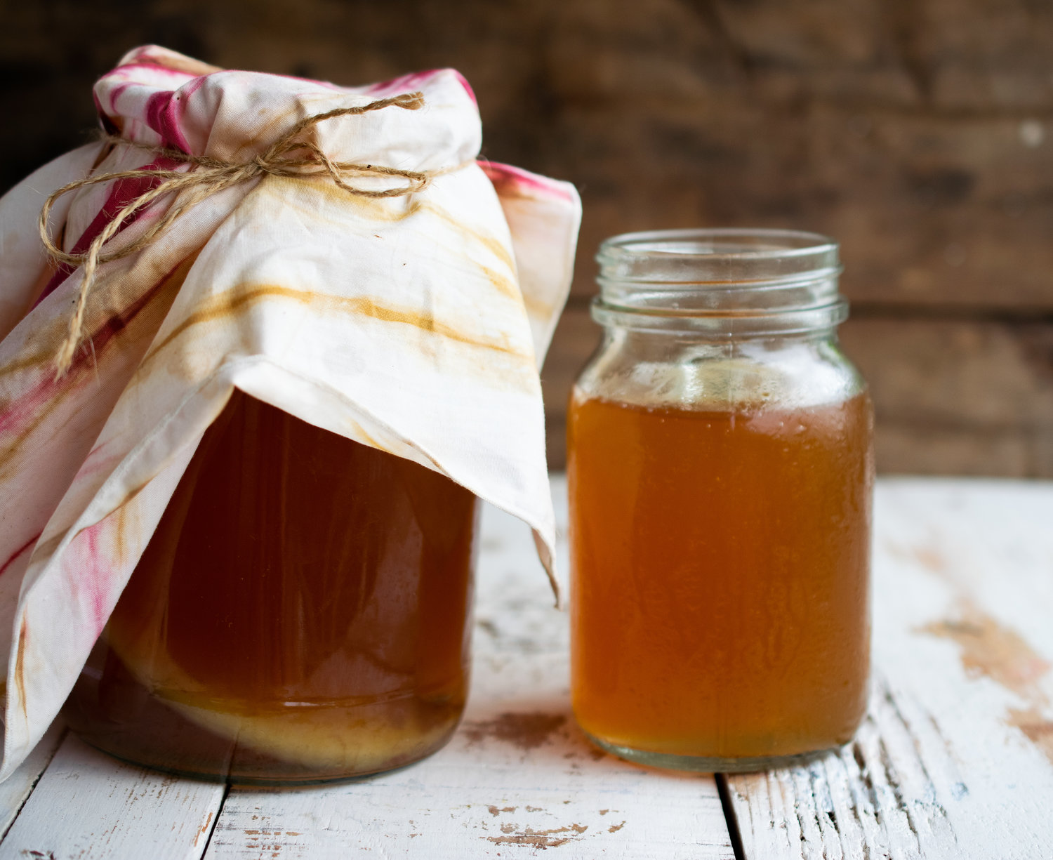 How To Store Scoby While On Vacation