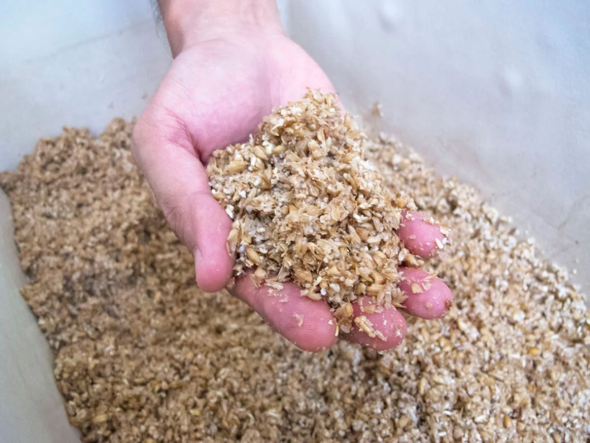 How To Store Spent Grain For Cattle