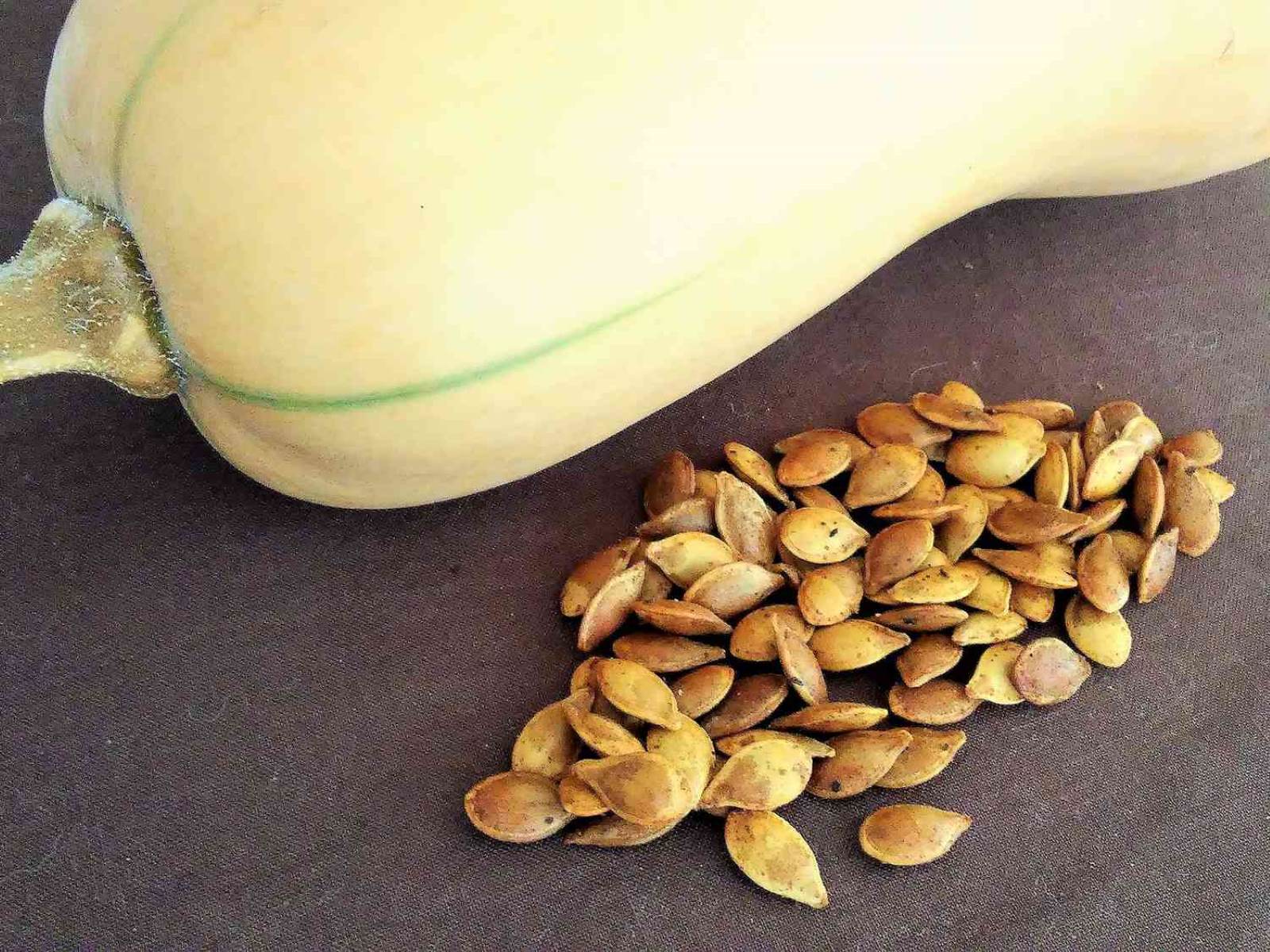 How To Store Squash Seeds