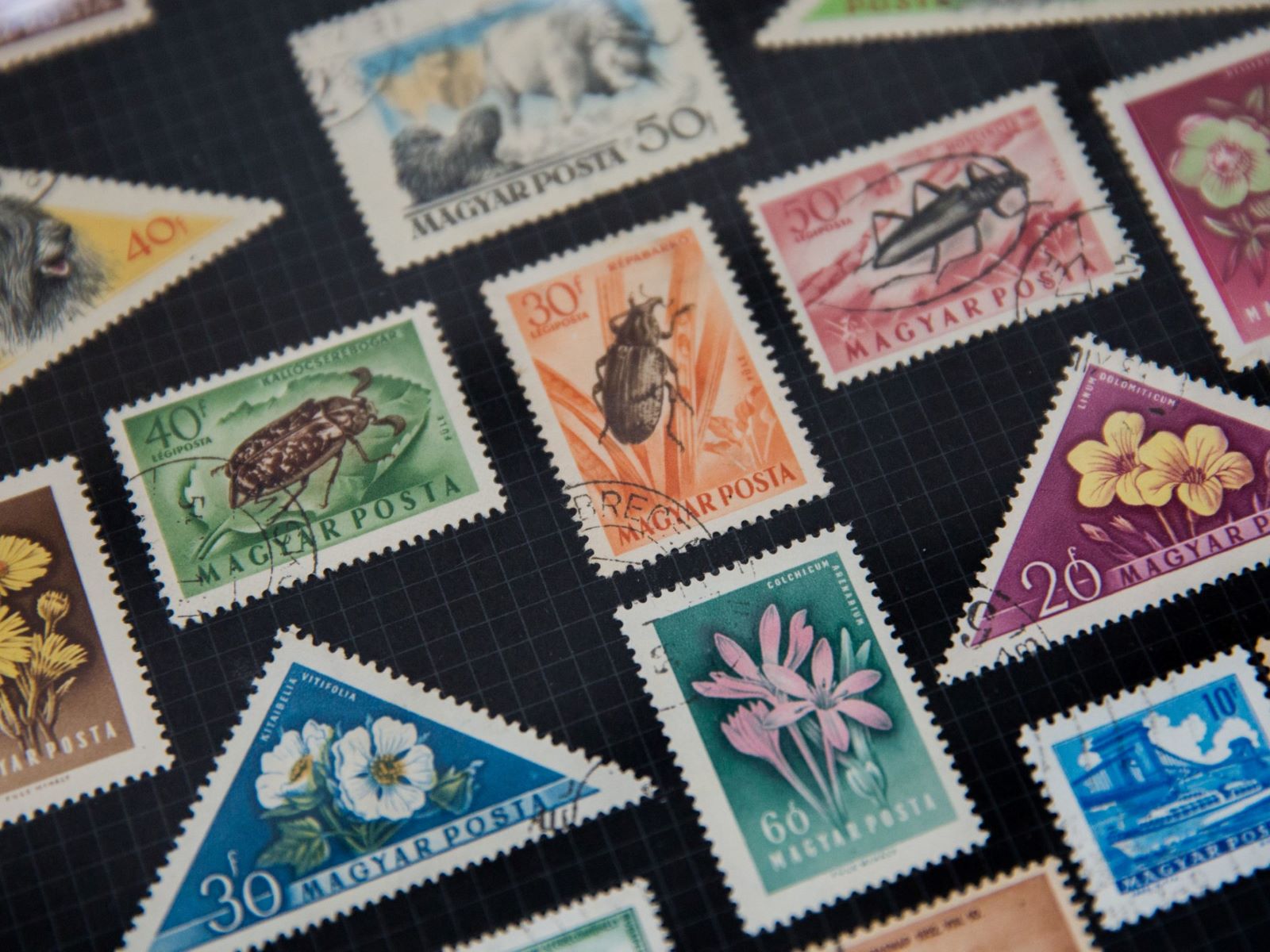 How To Store Stamp Collection