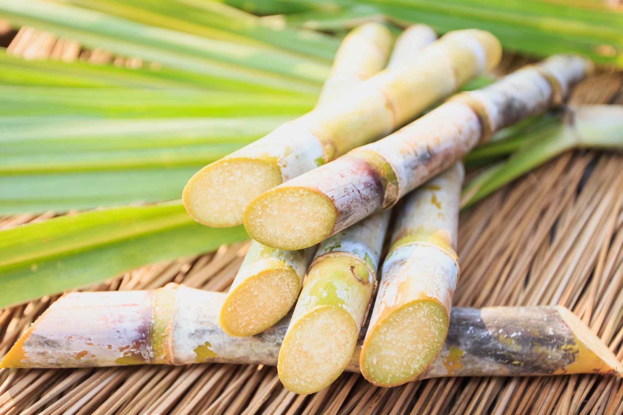 How To Store Sugar Cane