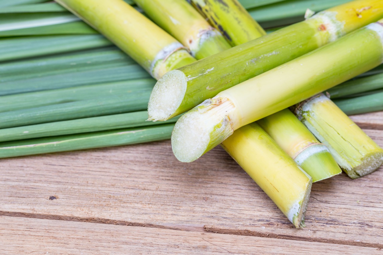 How To Store Sugarcane