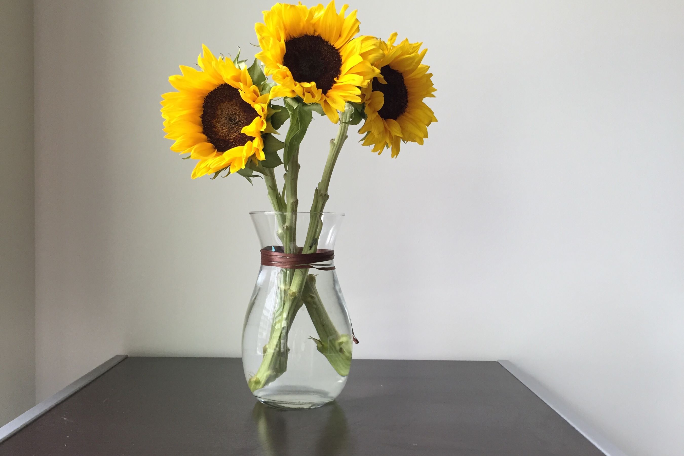 How To Store Sunflowers