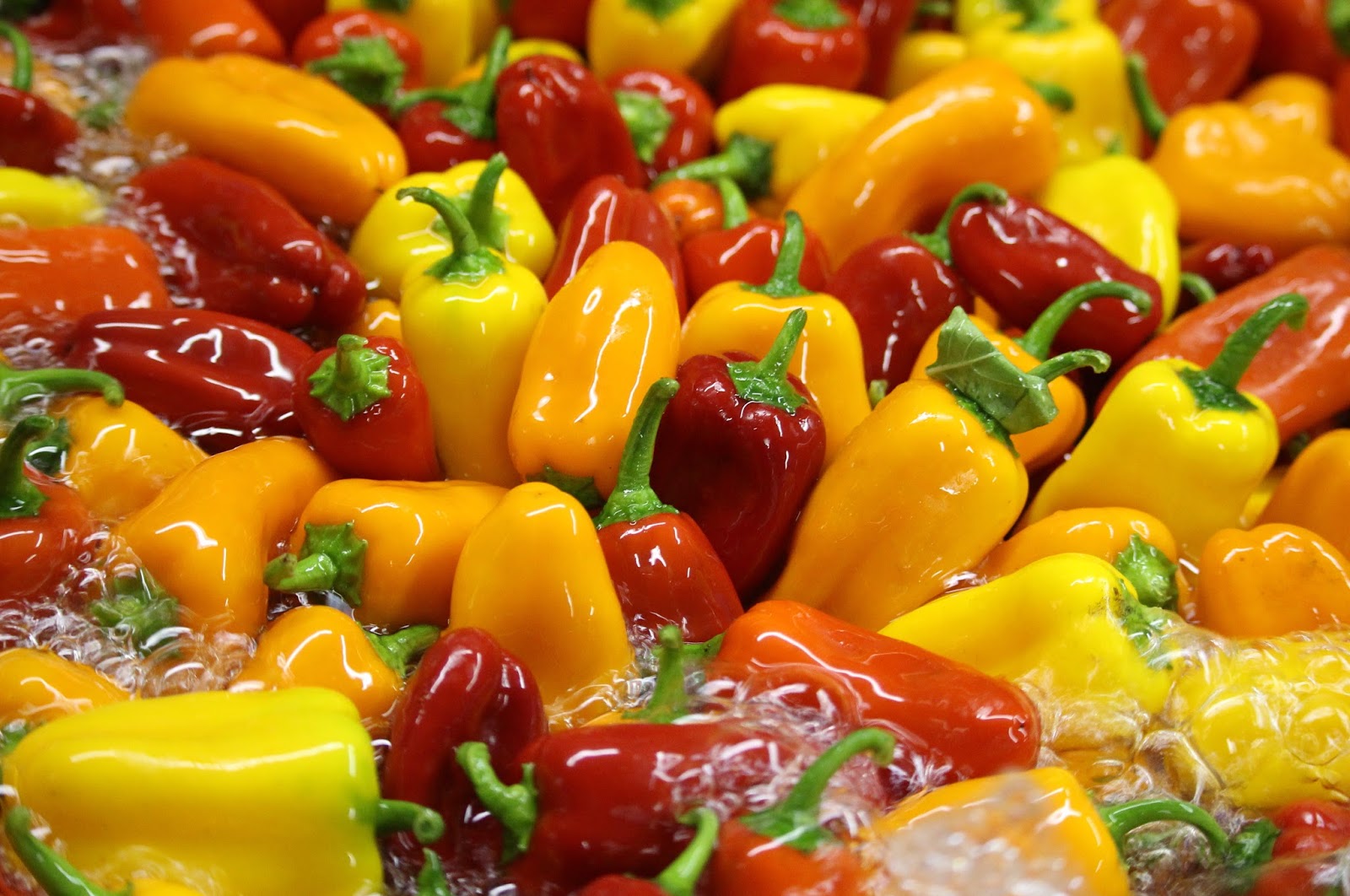 How To Store Sweet Mini Peppers