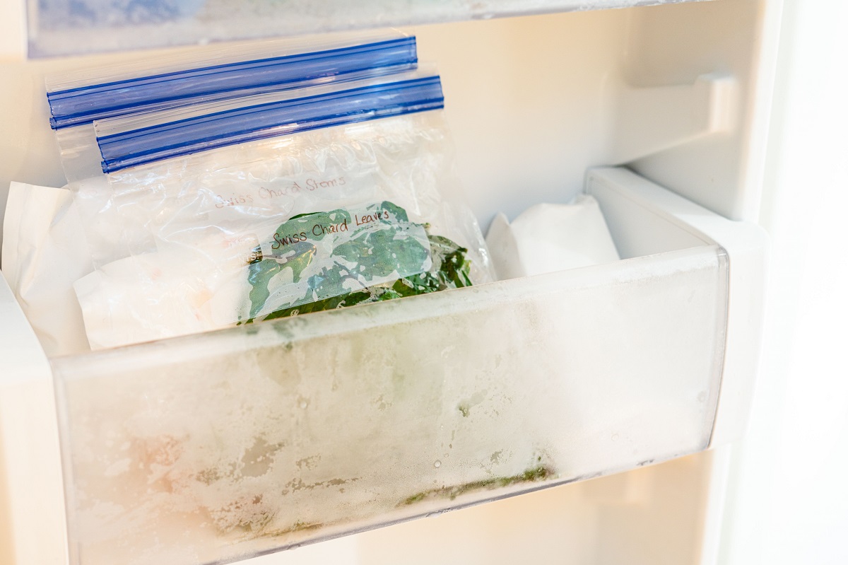 How To Store Swiss Chard In The Fridge
