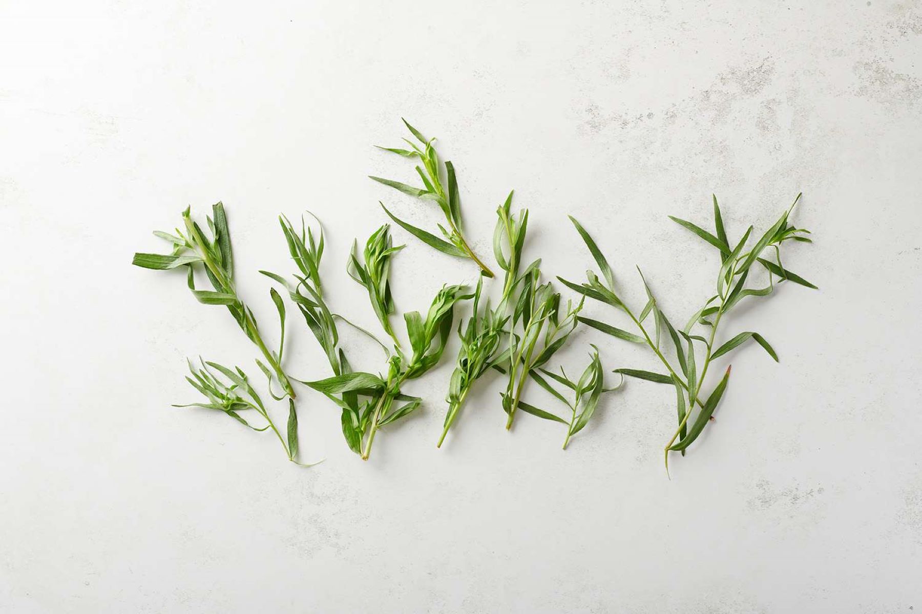 How To Store Tarragon