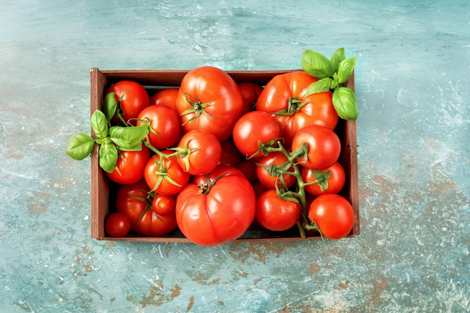 How To Store Tomatoes For Long Time Without Fridge