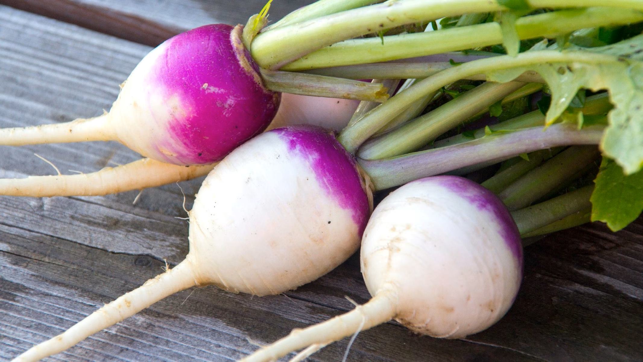 How To Store Turnips