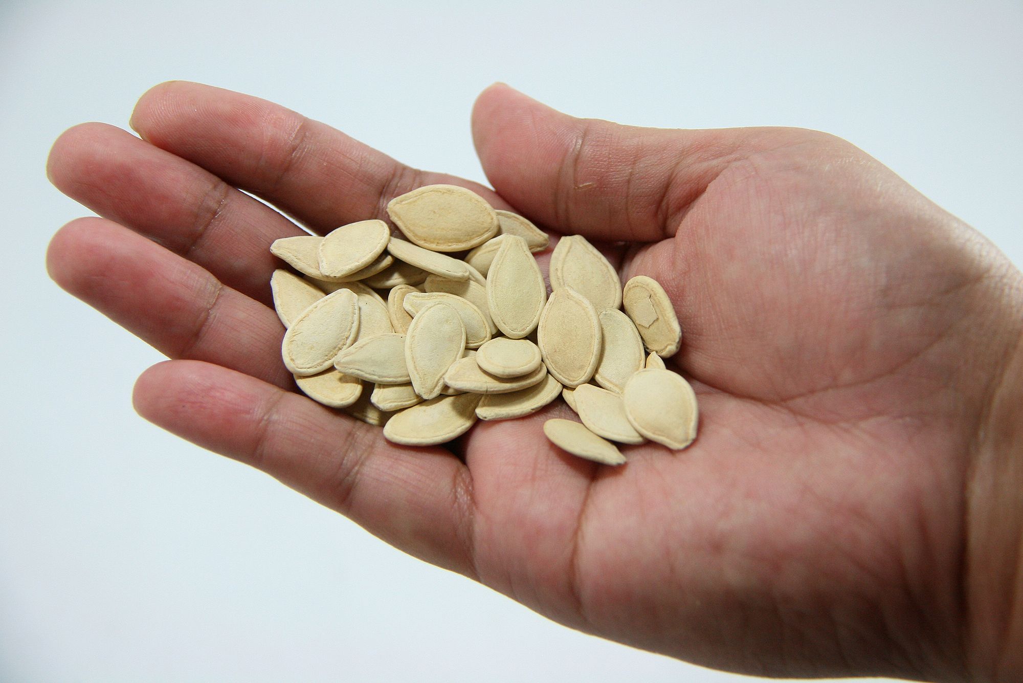 How To Store Uncooked Pumpkin Seeds