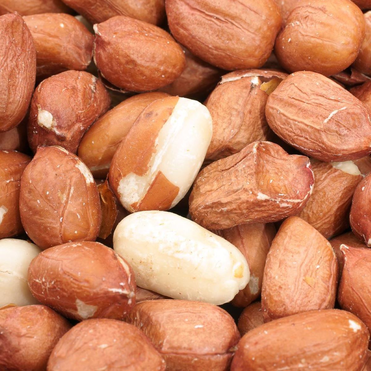 How To Store Unshelled Peanuts