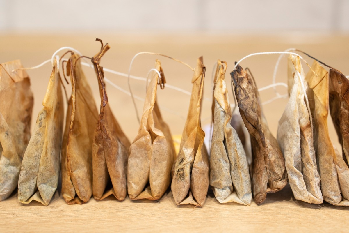 How To Store Used Tea Bags For Reuse