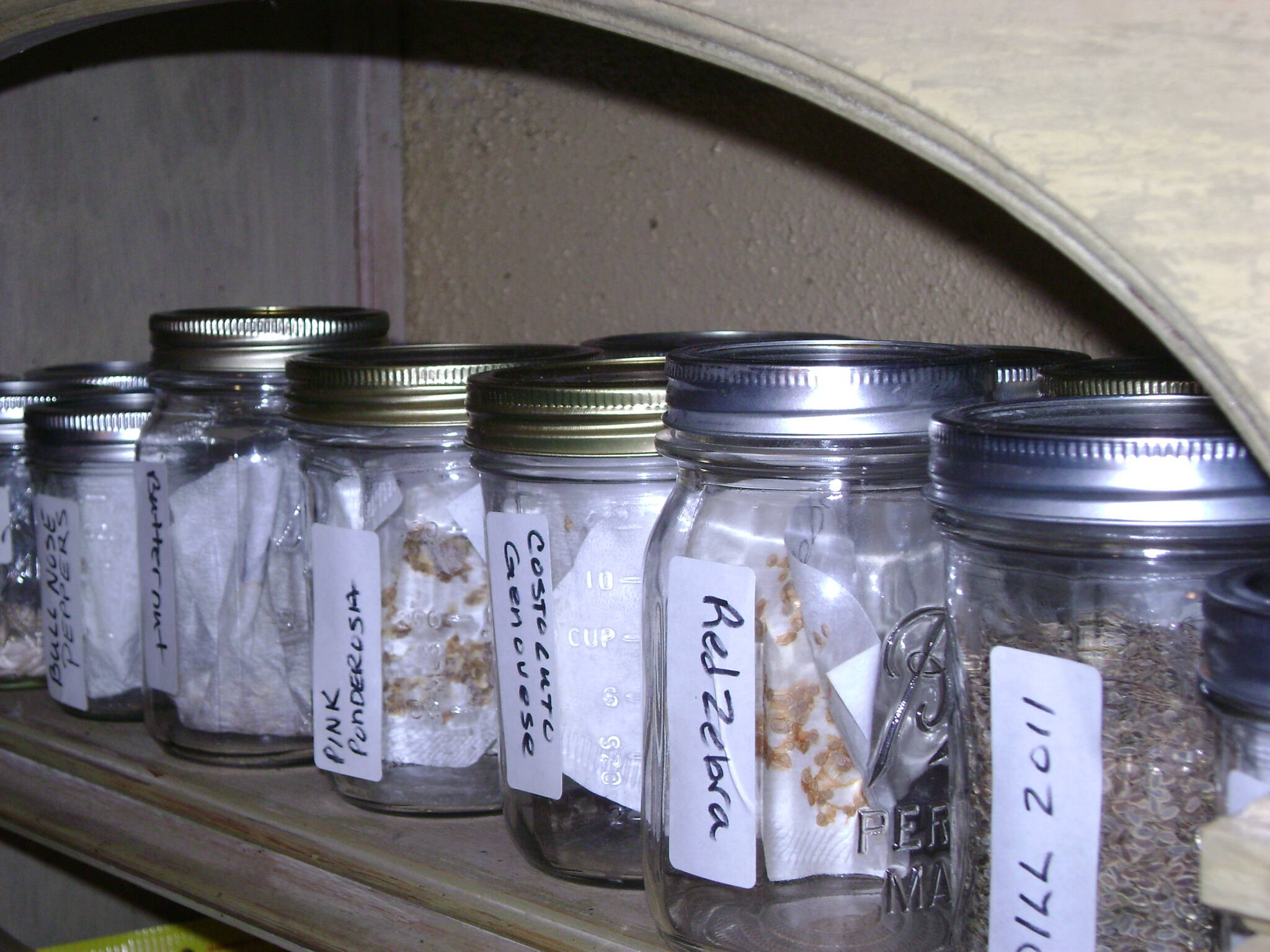 How To Store Vegetable Seeds