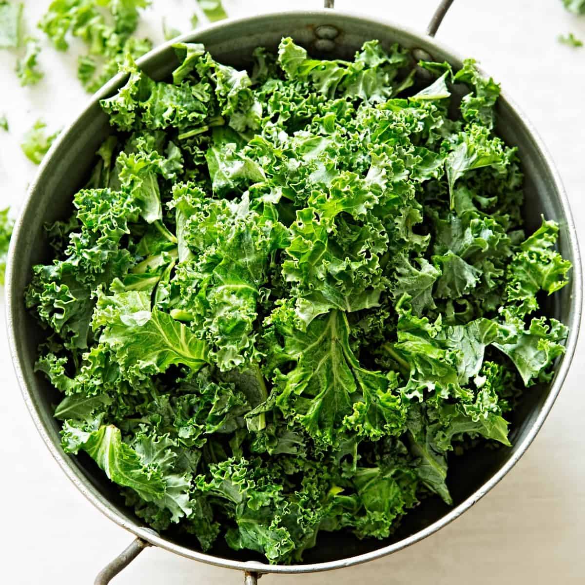 How To Store Washed Kale
