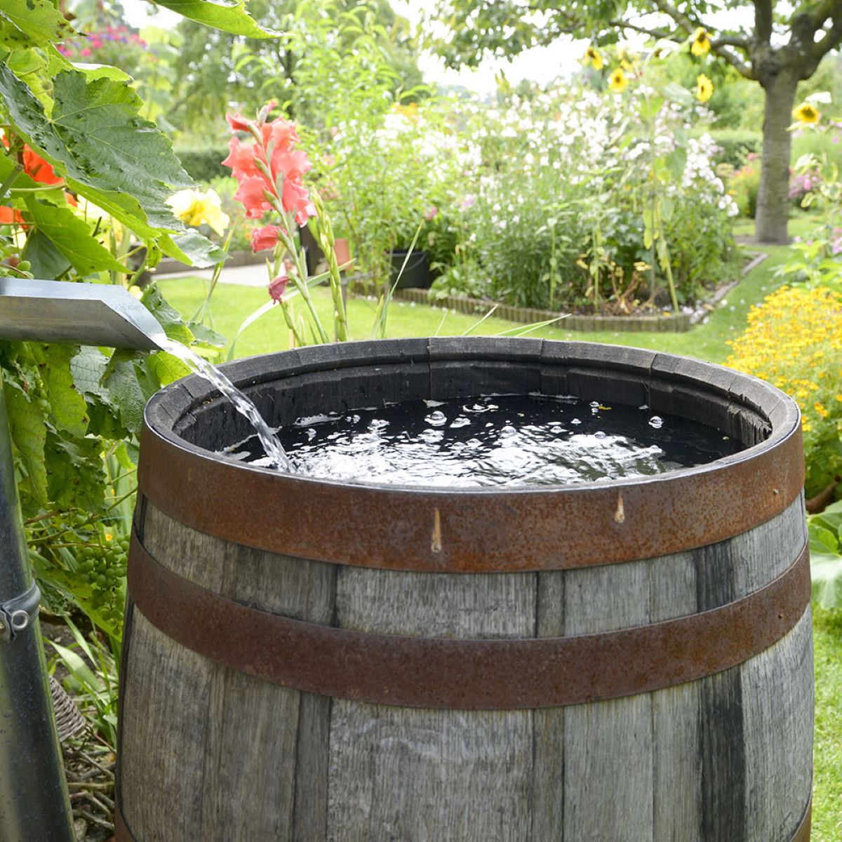 How To Store Water In Barrels