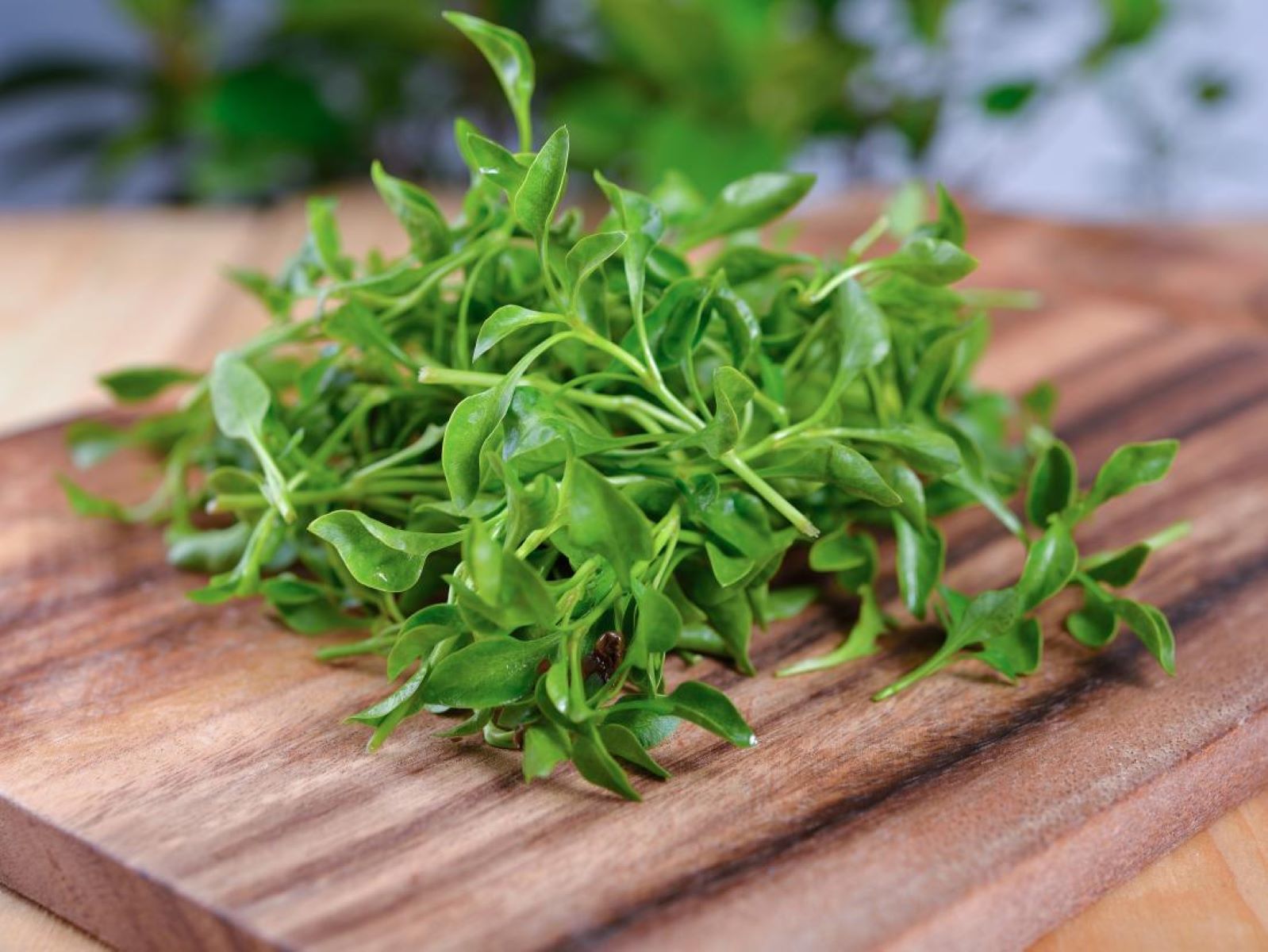 How To Store Watercress