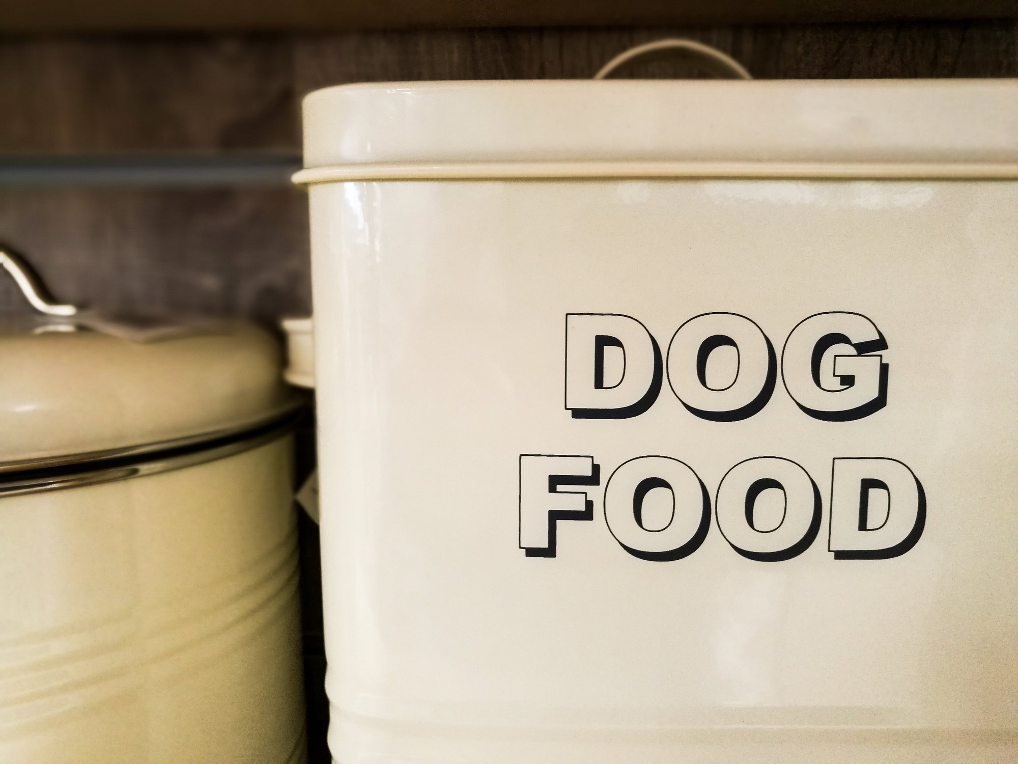 How To Store Wet Dog Food
