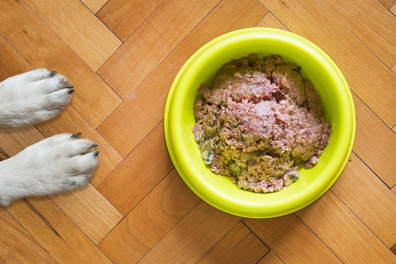 How To Store Wet Dog Food After Opening
