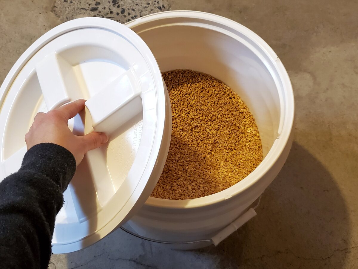 How To Store Wheat Berries Long Term