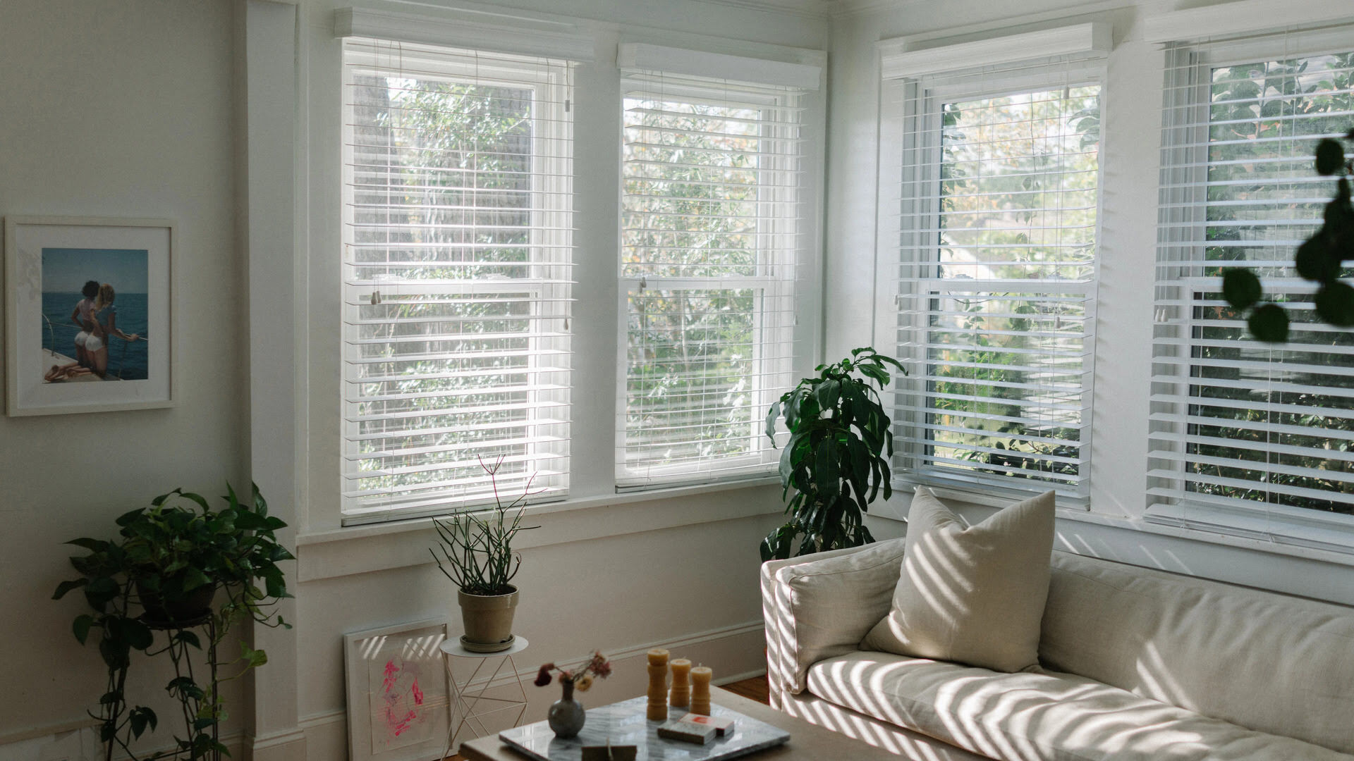 What Blinds Are Best For Living Room