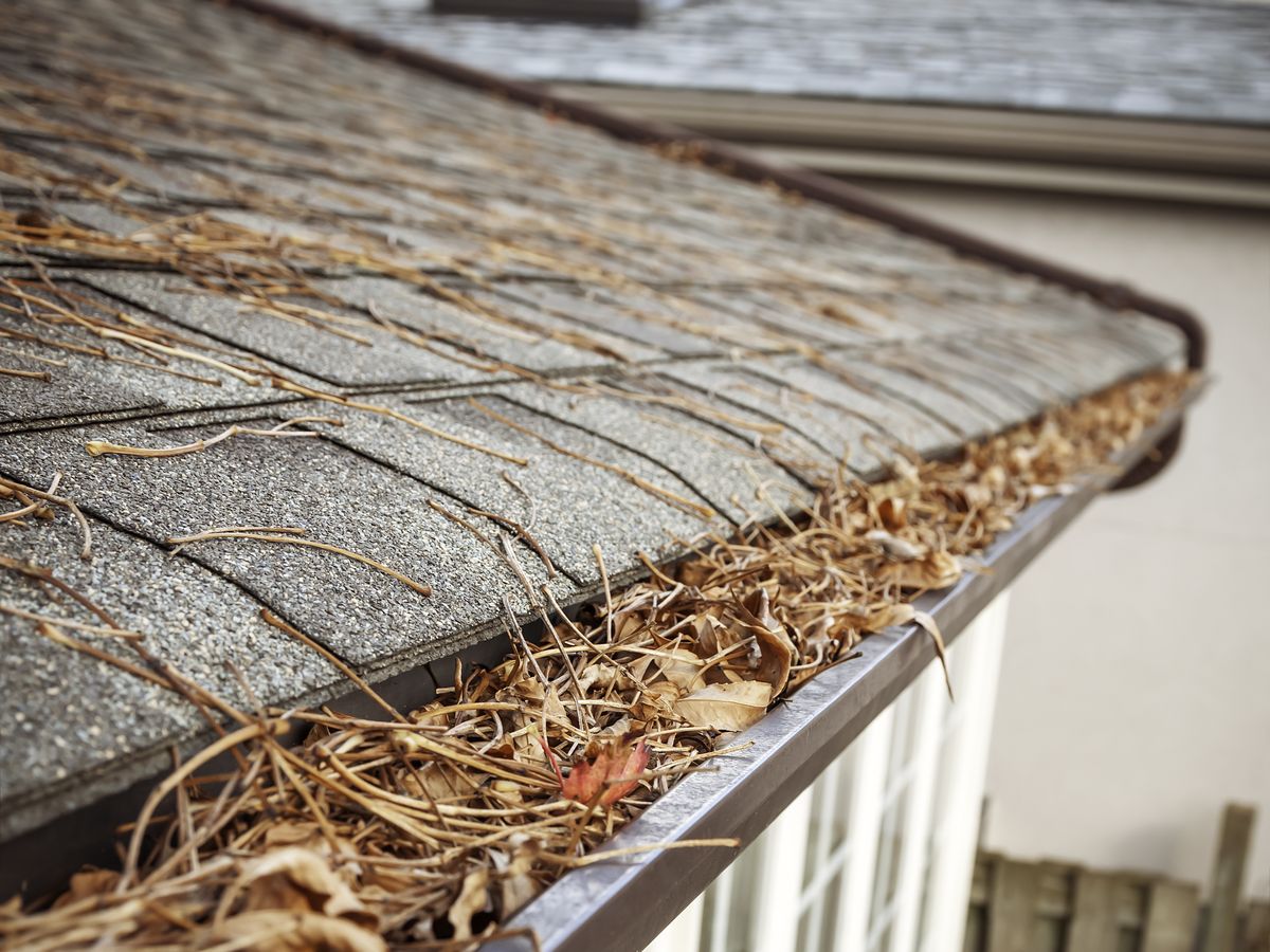 What Happens If You Don’t Clean Your Gutters