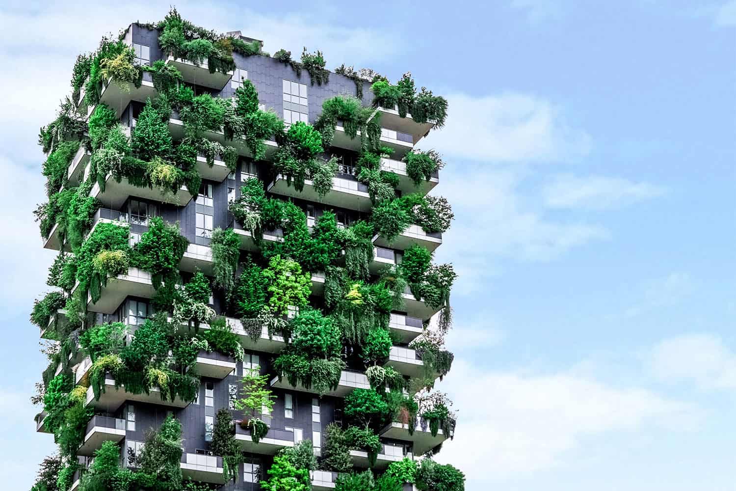 What Is Green Architecture? How To Build An Eco-Conscious Home