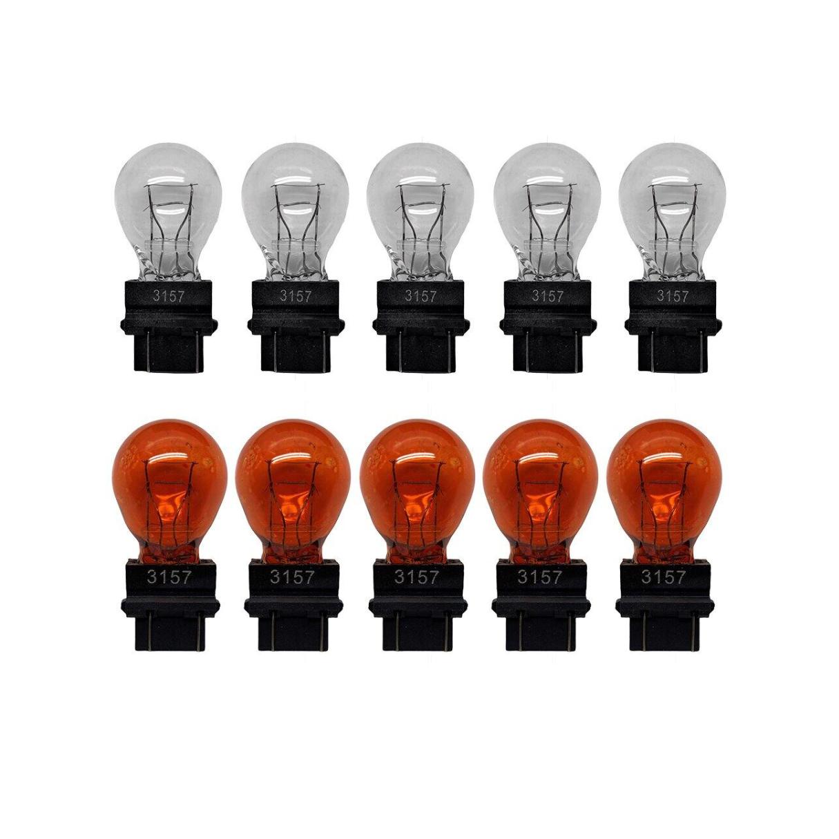 What Is The Size Of A Tail Light Bulb Finder