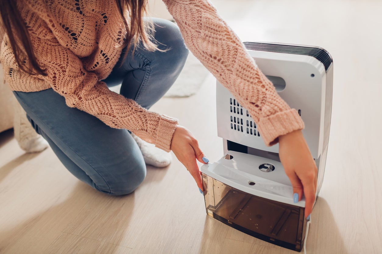 What Size Dehumidifier Do I Need? A Guide To Choosing The Right Model