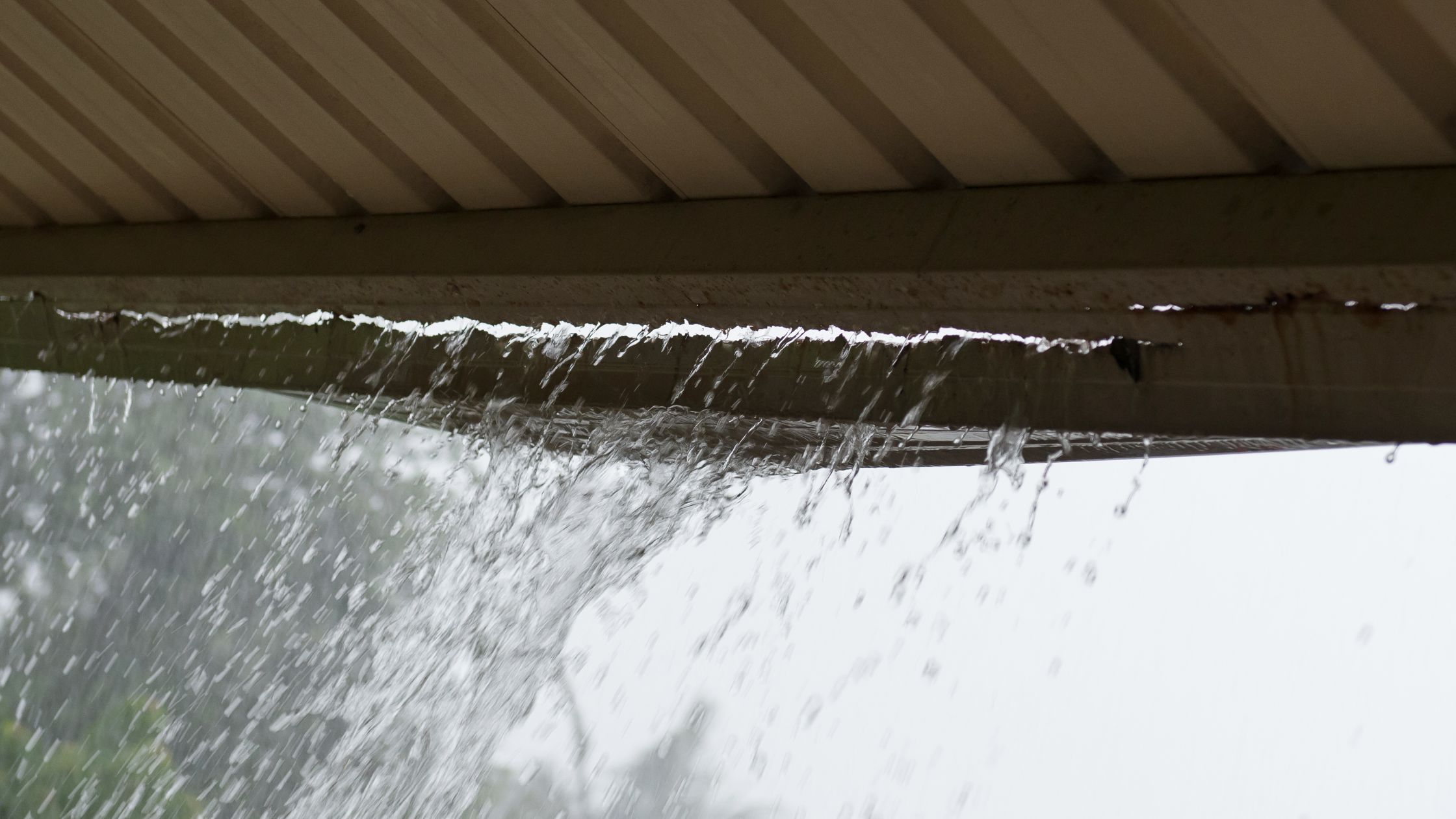 What To Do When Roof Is Leaking