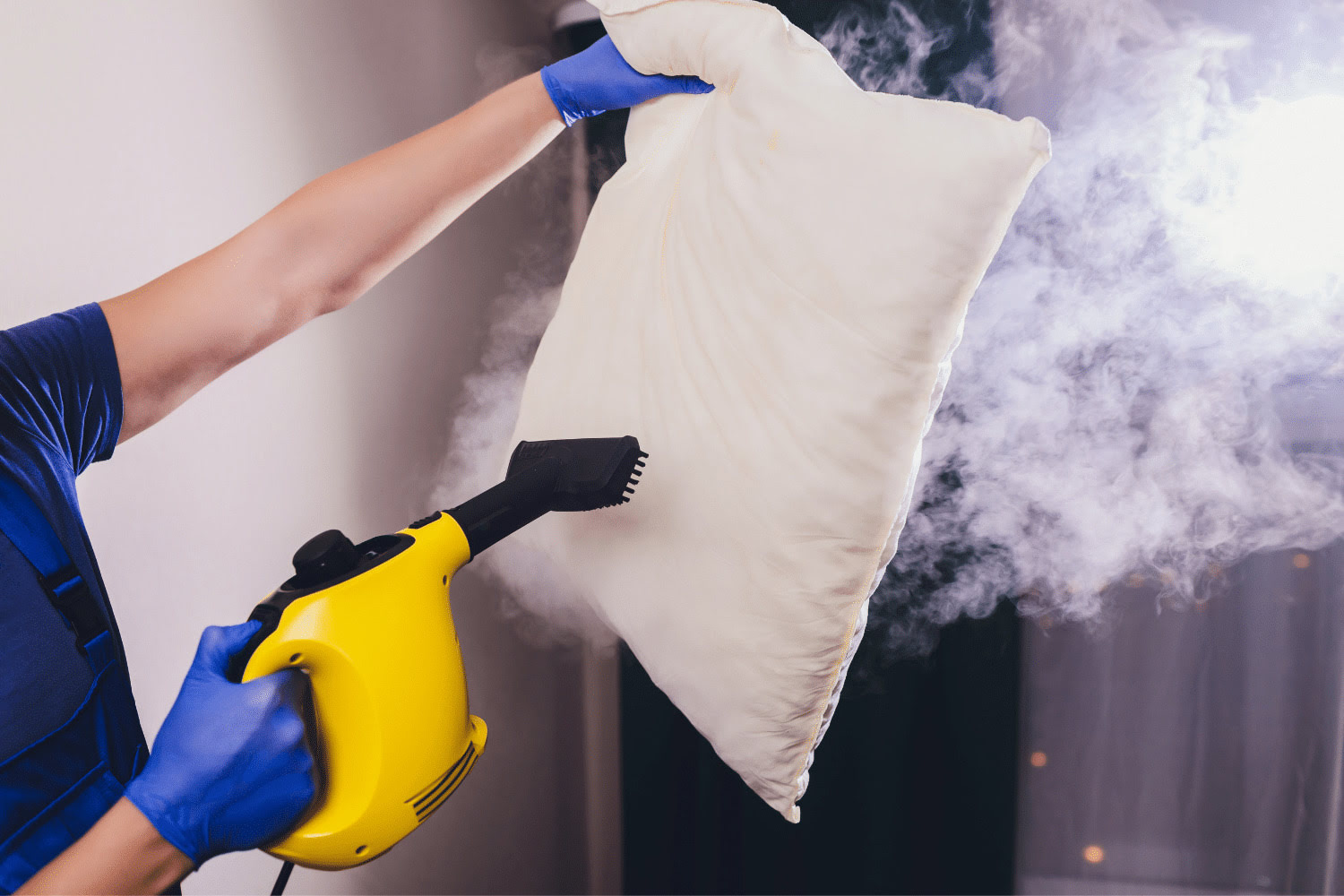 Where To Buy A Steamer To Kill Bed Bugs