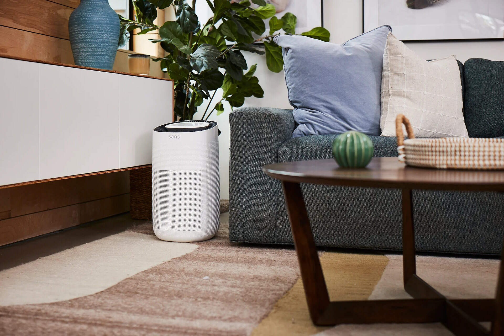 Where To Place Air Purifier In Living Room