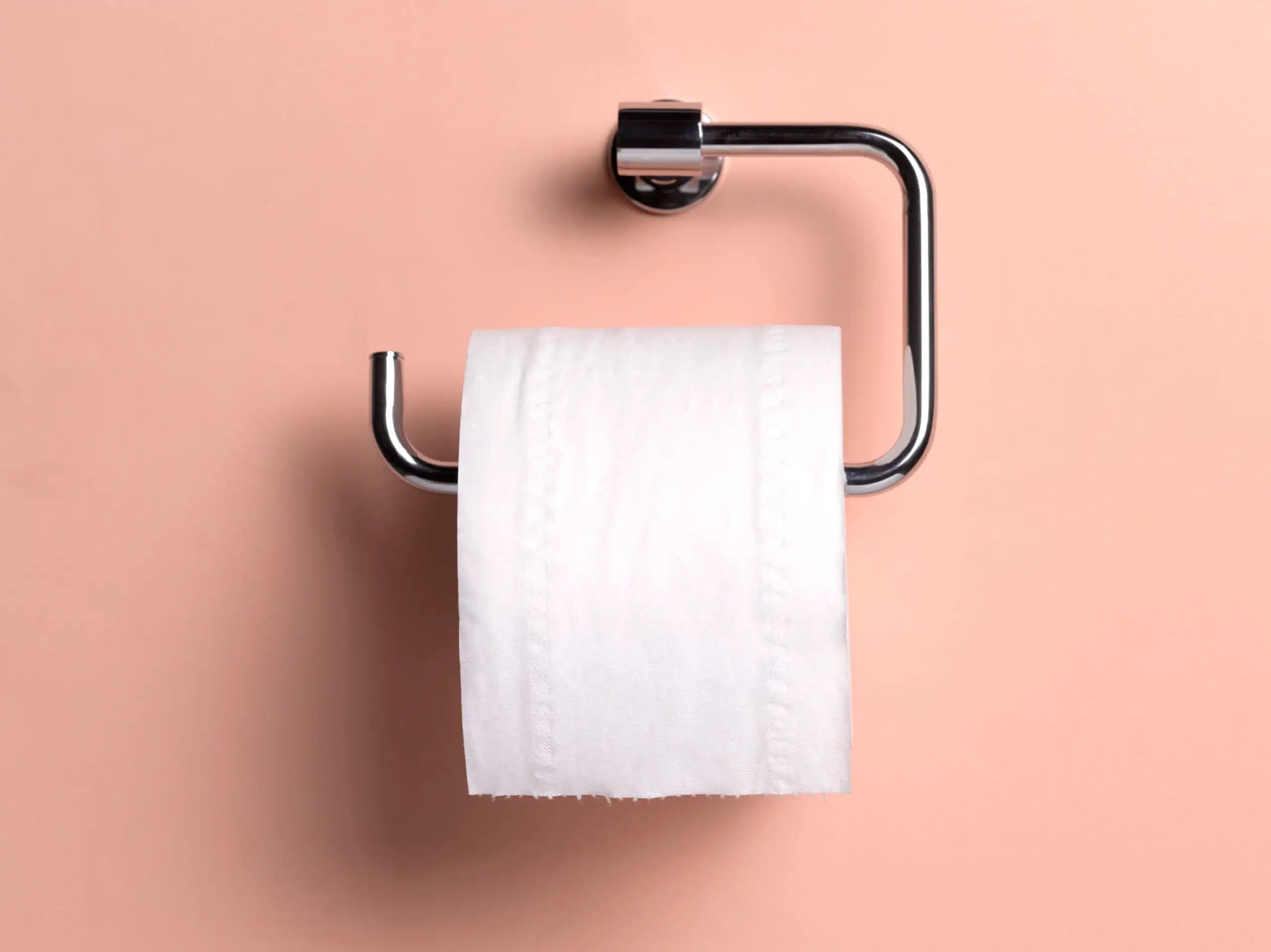 Social Dilemma: Who should change the toilet paper roll when it runs out?