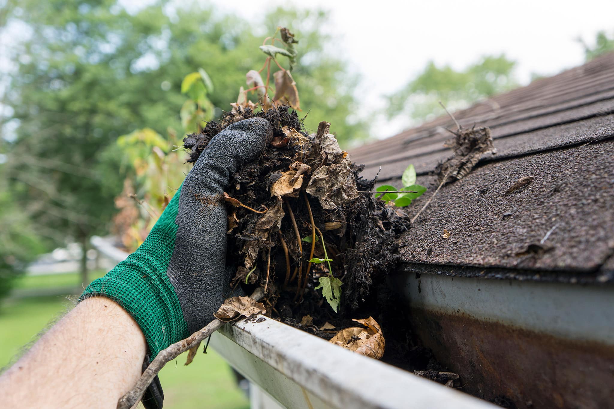 Why Clean Gutters Before Winter