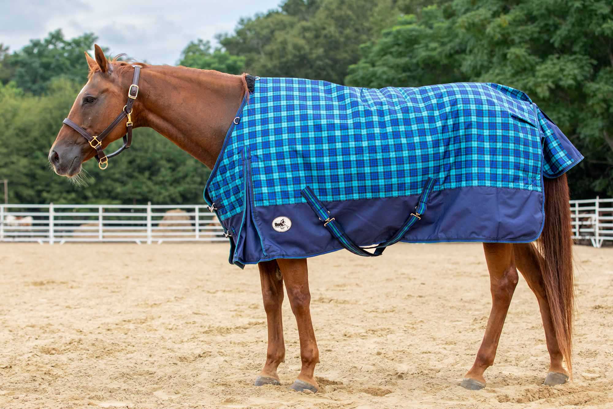10 Amazing Horse Blanket for 2024