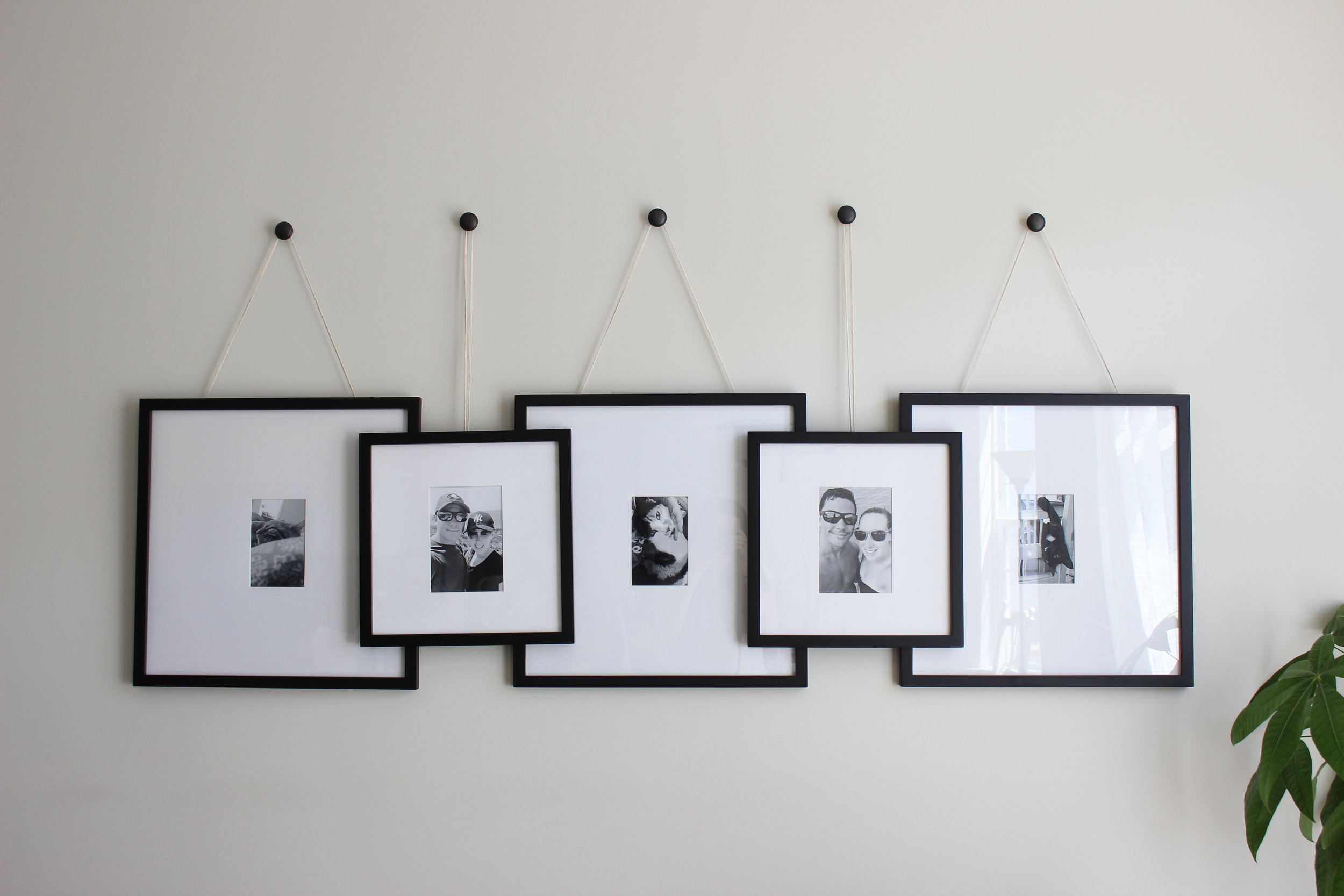 10 Incredible Hanging Picture Frames for 2023