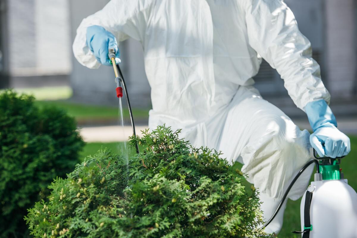 10 Unbelievable Pest Control Spray For 2023