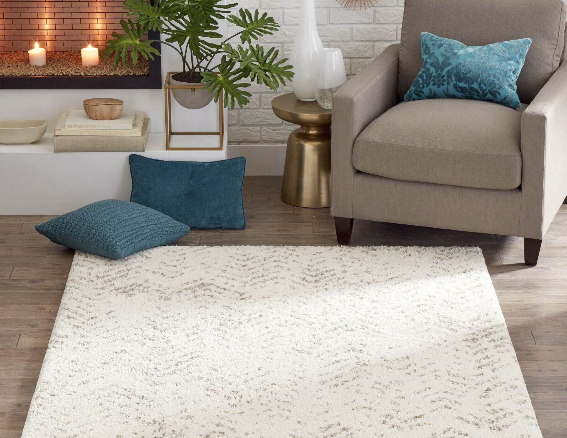 Ophanie Small Throw Rugs for Bedroom, 2x3 Non Slip Mini Area Rug,  Affordable Fluffy Grey Carpet, Door Entryway Indoor Inside Front Entrance  Dog Mat