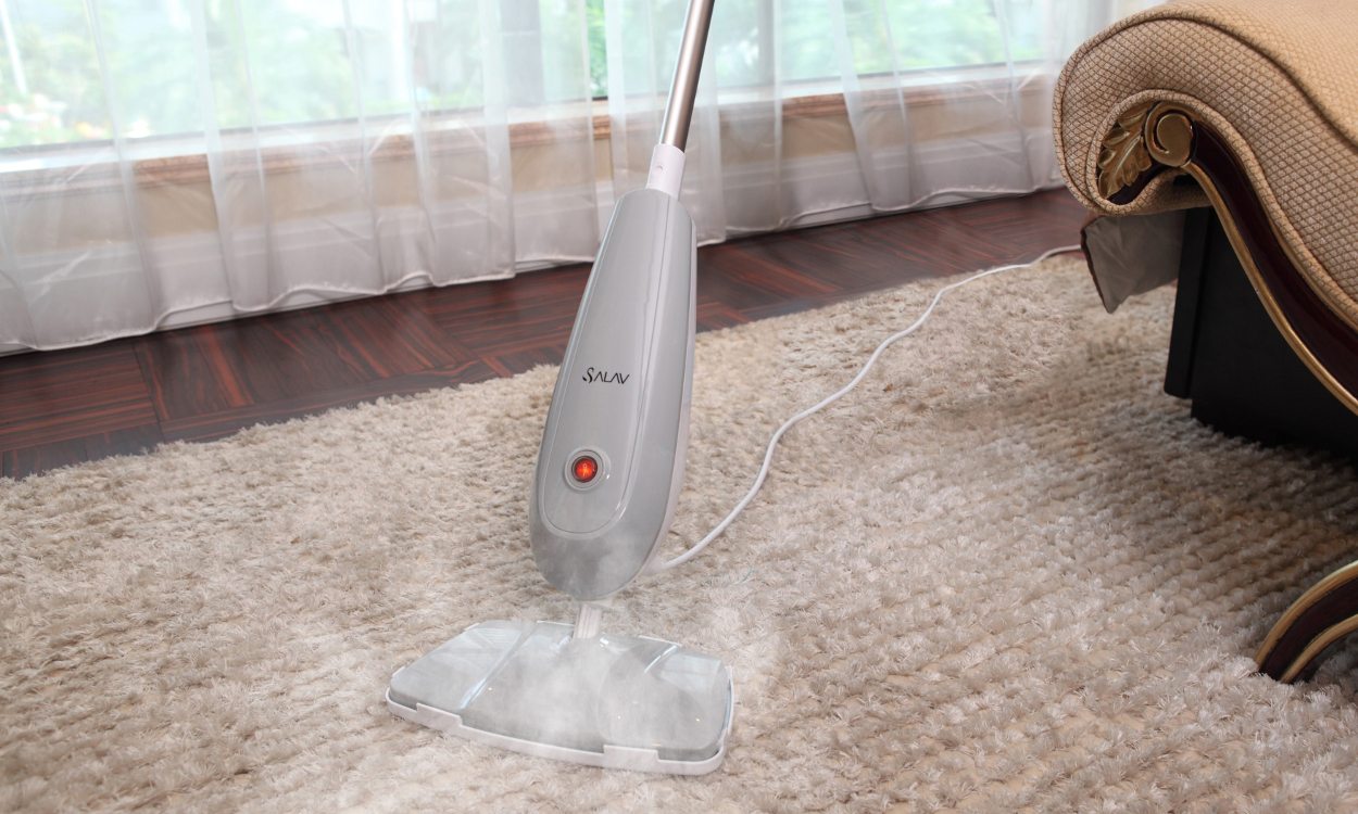 11 Amazing Carpet Steam Cleaner for 2024