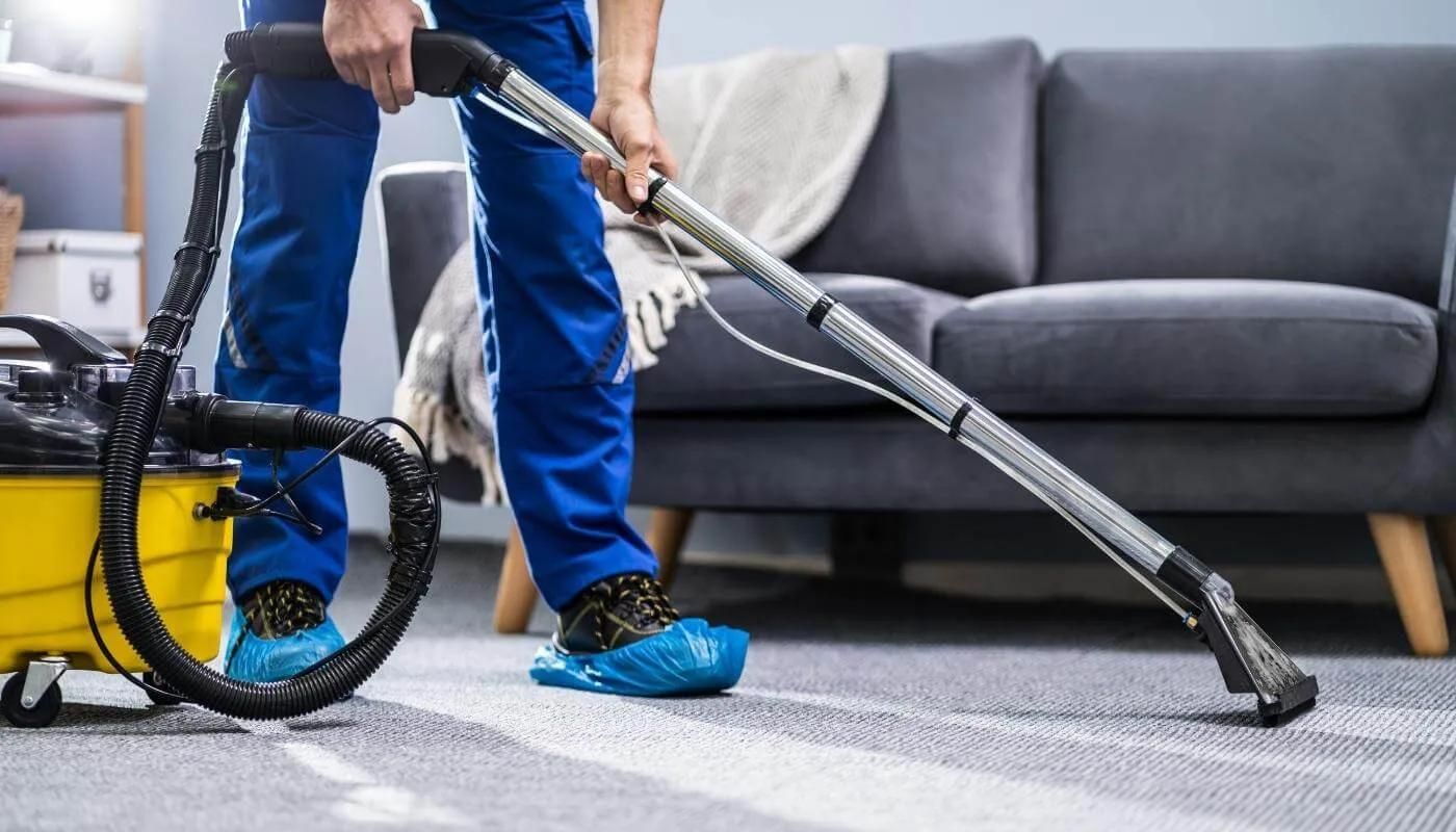 11 Incredible Carpet Cleaners for 2024