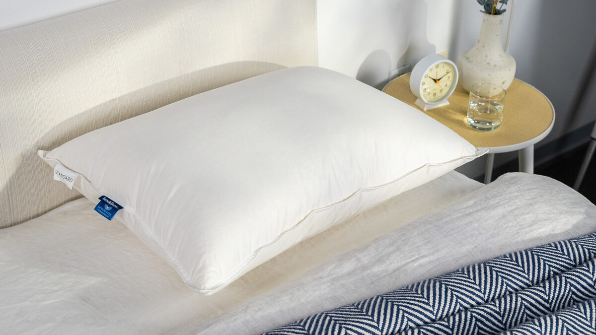 11 Unbelievable Feather Pillows For Sleeping for 2023
