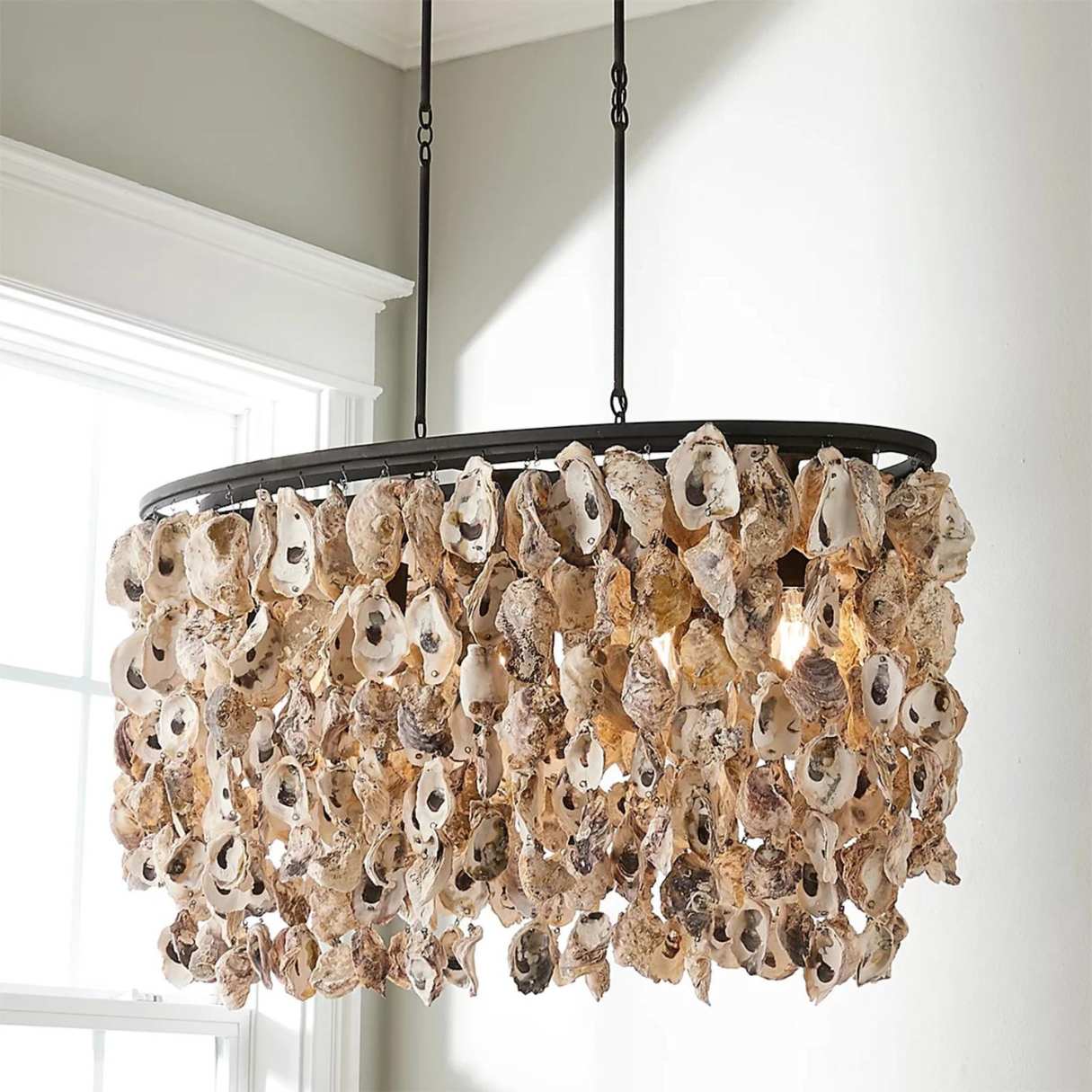 12 Amazing Shell Chandelier for 2024