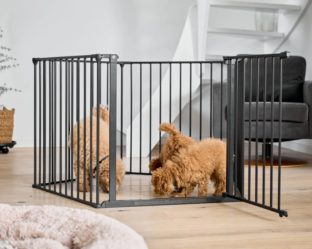 13 Amazing Pet Room Divider For 2024