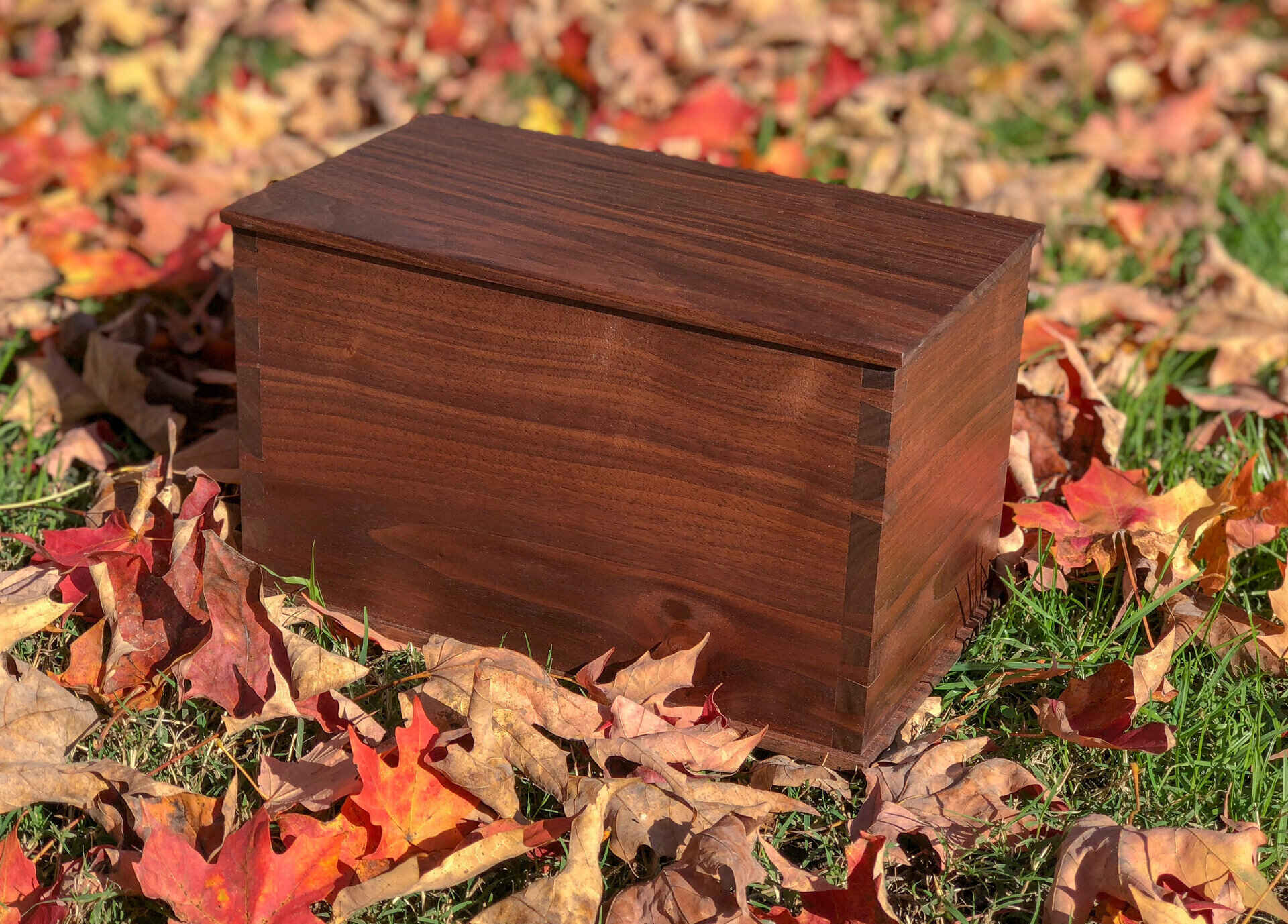 13 Best Box Urns For 2024