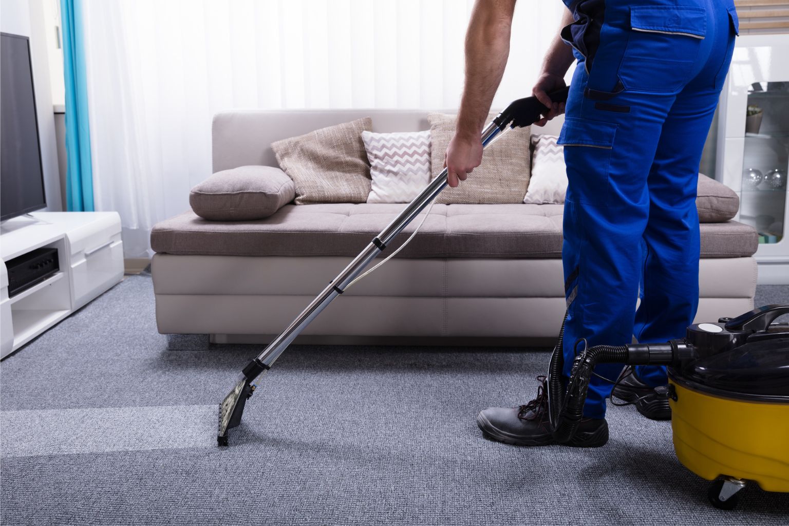 13 Best Carpet Cleaning for 2024