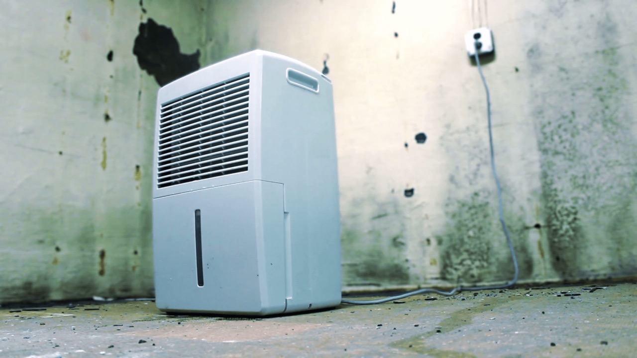 14 Amazing Basement Dehumidifiers For Home For 2024