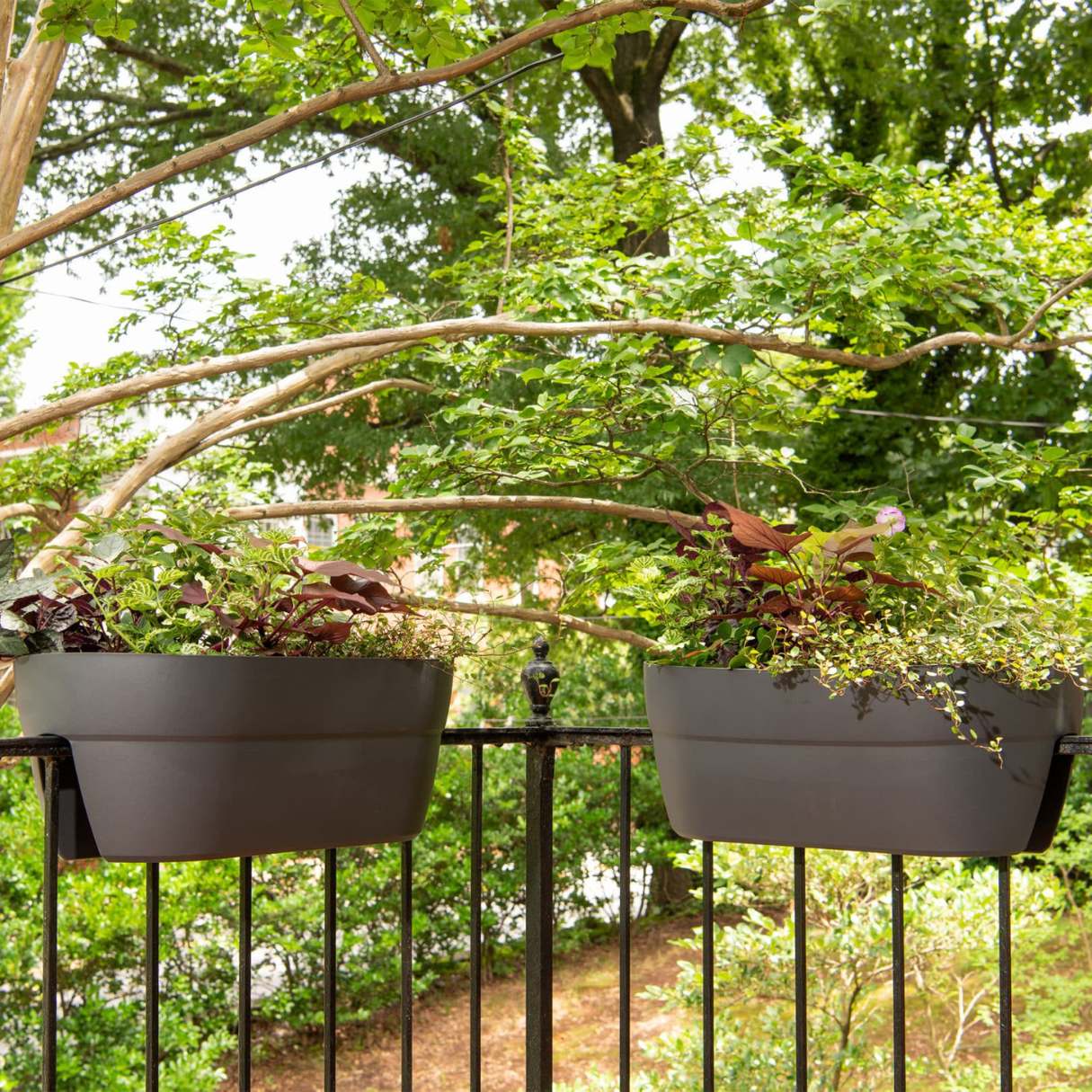 14 Best Balcony Planters Railing For 2023