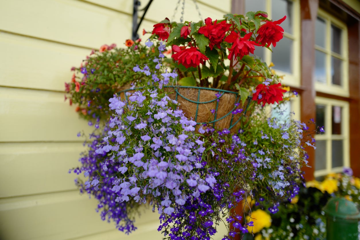 14 Incredible Hanging Flower Baskets For Outside for 2023